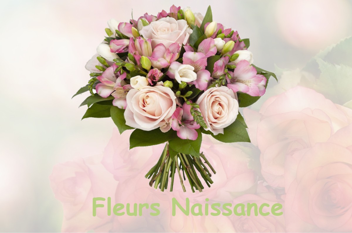 fleurs naissance SAINT-ARAILLE